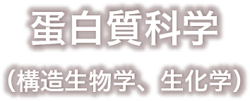 蛋白質科学（構造生物学、生化学）